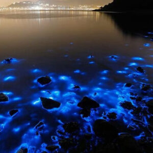 luminous lagoon glistening waters