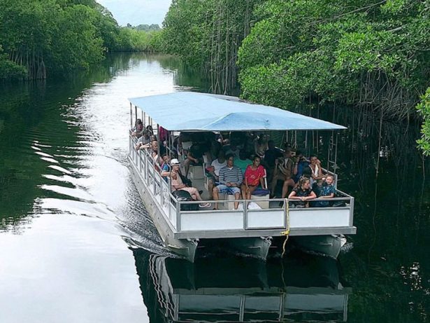 Black River Safari