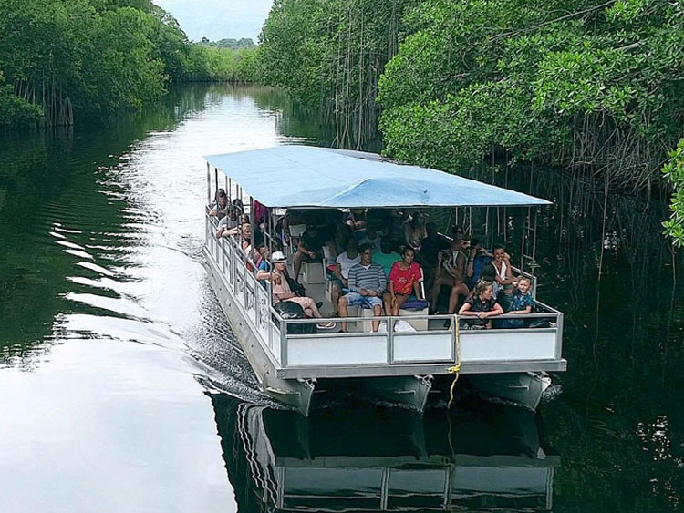 Black River Safari